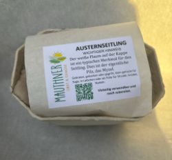 Picture of Pilze Austernseitling 200g