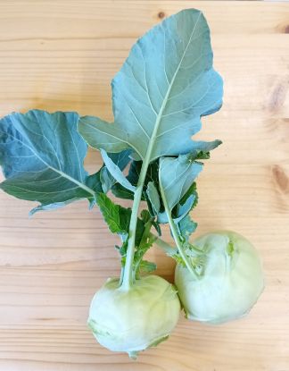 Picture of Kohlrabi p.Stk