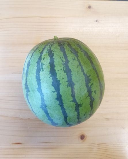 Bild von Wassermelone mini p. Stk.