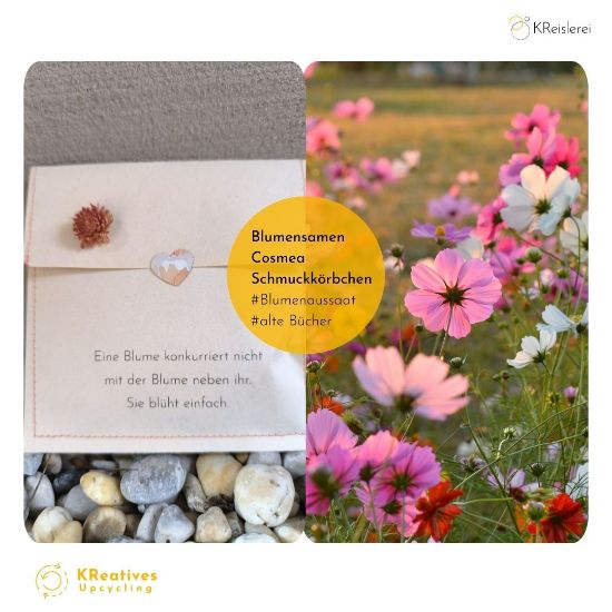 Picture of Geschenkkuvert_Blumensaat